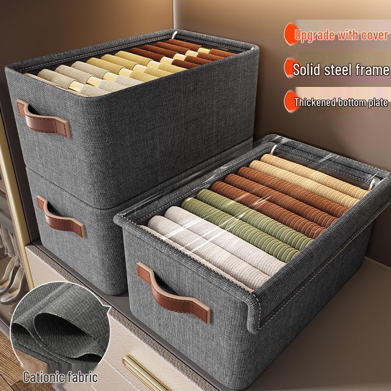 Cationic Steel Frame Wardrobe Storage Box for Clothes and Pants Organizer