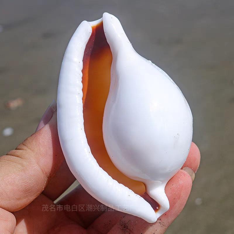 12pcs/lot White Rabbit Conch Natural Shell Conchs Aquarium Home Decoration Wedding Floor Wall Paste Micro-landscape Creative