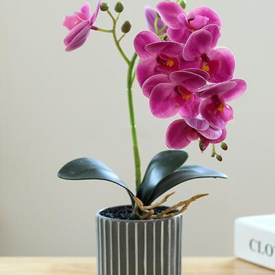 Künstlicher Orchideen-Bonsai im Topf Simulation Phalaenopsis Heim Büro Garten Realistisch zur Innendekoration Weiß