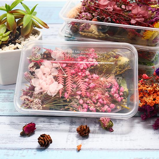 Artă populară Floare uscată Moale Vii Estetică