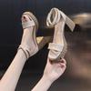 Fashion 2025 Summer New Open Toe Women's Cover Heel Sandals Square Toe Chunky Heels Buckle Strap Sandals for Platform Fashion Dress