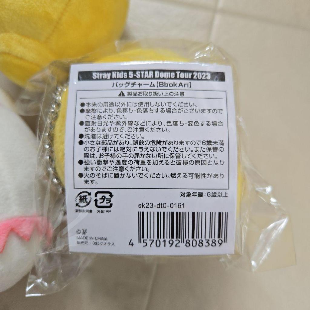[USED] Stray Kids 5STAR DOME TOUR Bag Charm