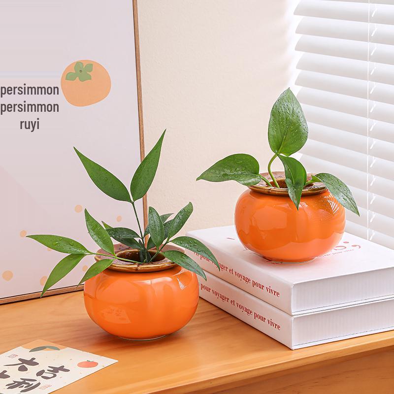 Small Ceramic Desktop Hydroponic Vase for Pothos - Simple Decorative Ornament for Office