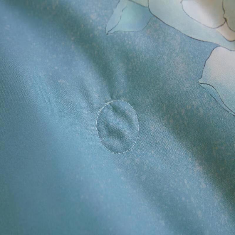Mengjie Soft Printed All-Season Quilt Set with Pillow Inserts
