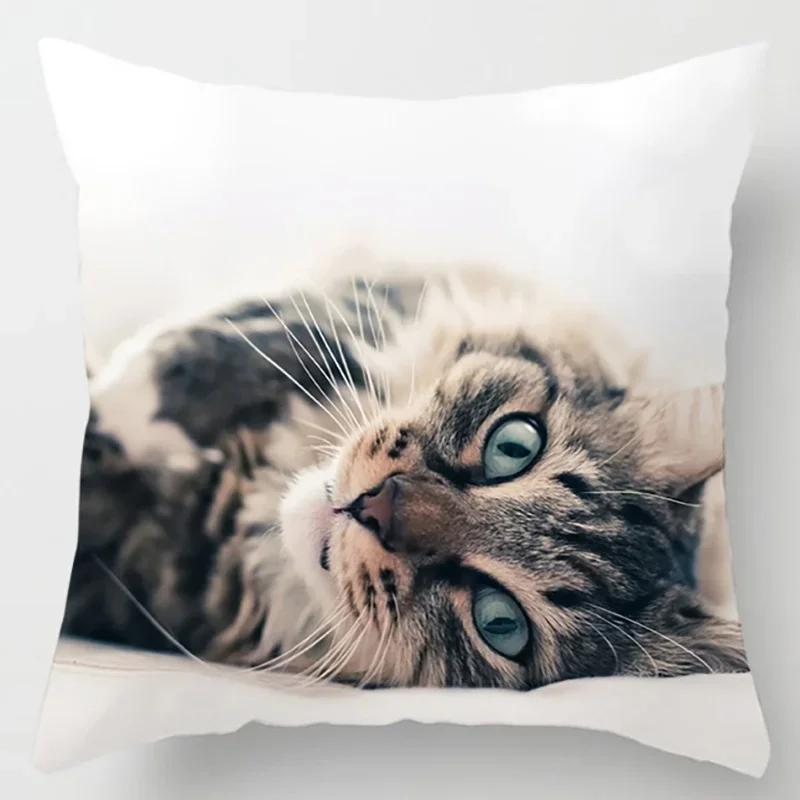 45X45CM Cat Collection Pillowcase Home and Office Decor Square Pillowcase