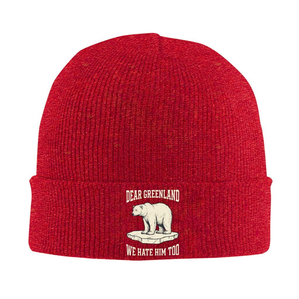 Unisex Adult Greenland Bear Beanie Hats Street Y2K Knitted Hat Spring Gym Caps Pattern Head Wrap Bonnet Hats