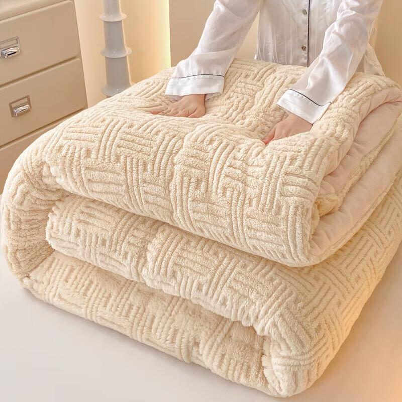 Thickened Taffeta Milk Velvet Winter Duvet