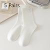 5 Pairs of Female Autumn and Winter Fashion New Drum Boneless Pile Socks
