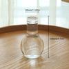 Transparenter Blumentopf Vase Hydrokulturbehälter Miniaturlandschaft Kunststoff Öko-Flasche Heimdekoration