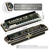East Top Blues Harmonica in A for Jazz and Study and Brass Canvas Lucky13 Harmonica, 13-Hole Key, Professionals, Adults, Children, Practice, Cover,