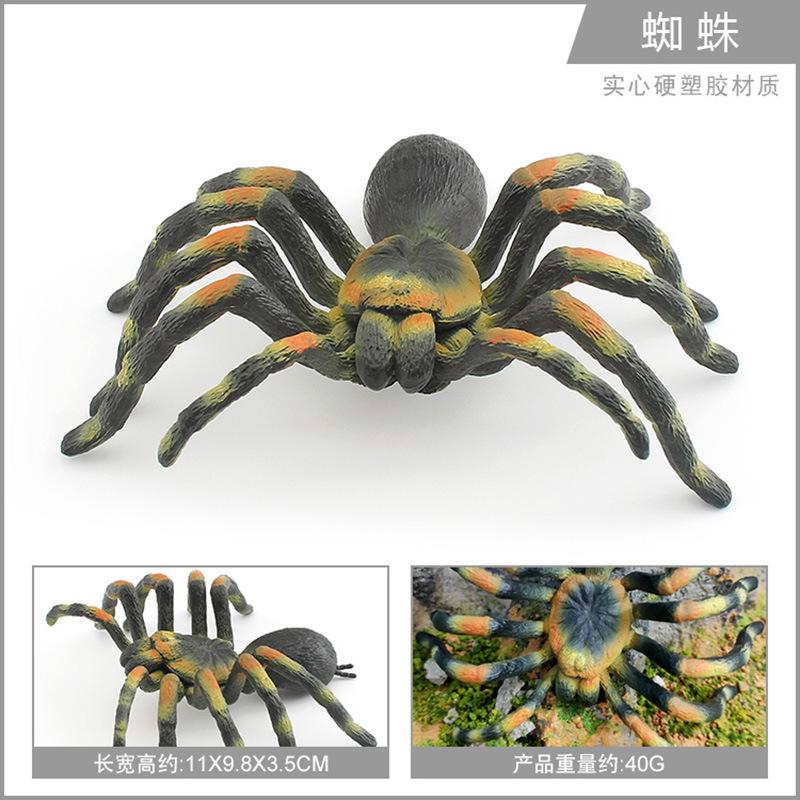 Export Simulation Insect Animal Model Red And Blue Peacock Spider Striped Fly Spider Static Cognitive Ornament Toy