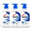 Healthy Antibacterial Hand Soap with Silk Protein