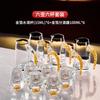 Elegant Crystal Glass Shot Cups With Pourer Set Gold Foil Matte Transparent Styles Whiskey Sake Tequila Serving