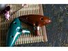 Dark Green 12-Hole Alto C Key Zelda Ocarina with Excellent Intonation and Tone
