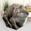 1pc animal Umbrella Portable Folding Umbrella Iron Frame Hole Bone Structure Outdoor Home Umbrella