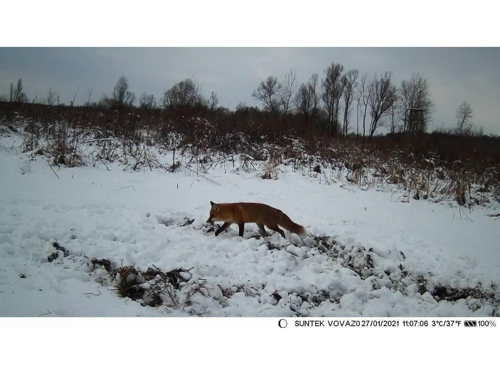 4K 50MP Outdoor Infrared Night Vision Tracking Camera HC-810A