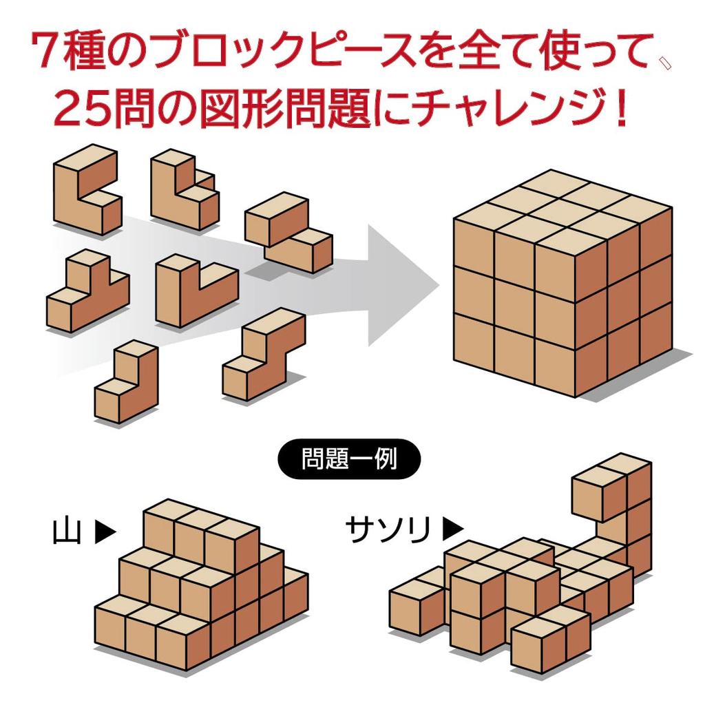 Hanayama Puzzle Exercise Katsuno Soma Cube for ages 6 and up