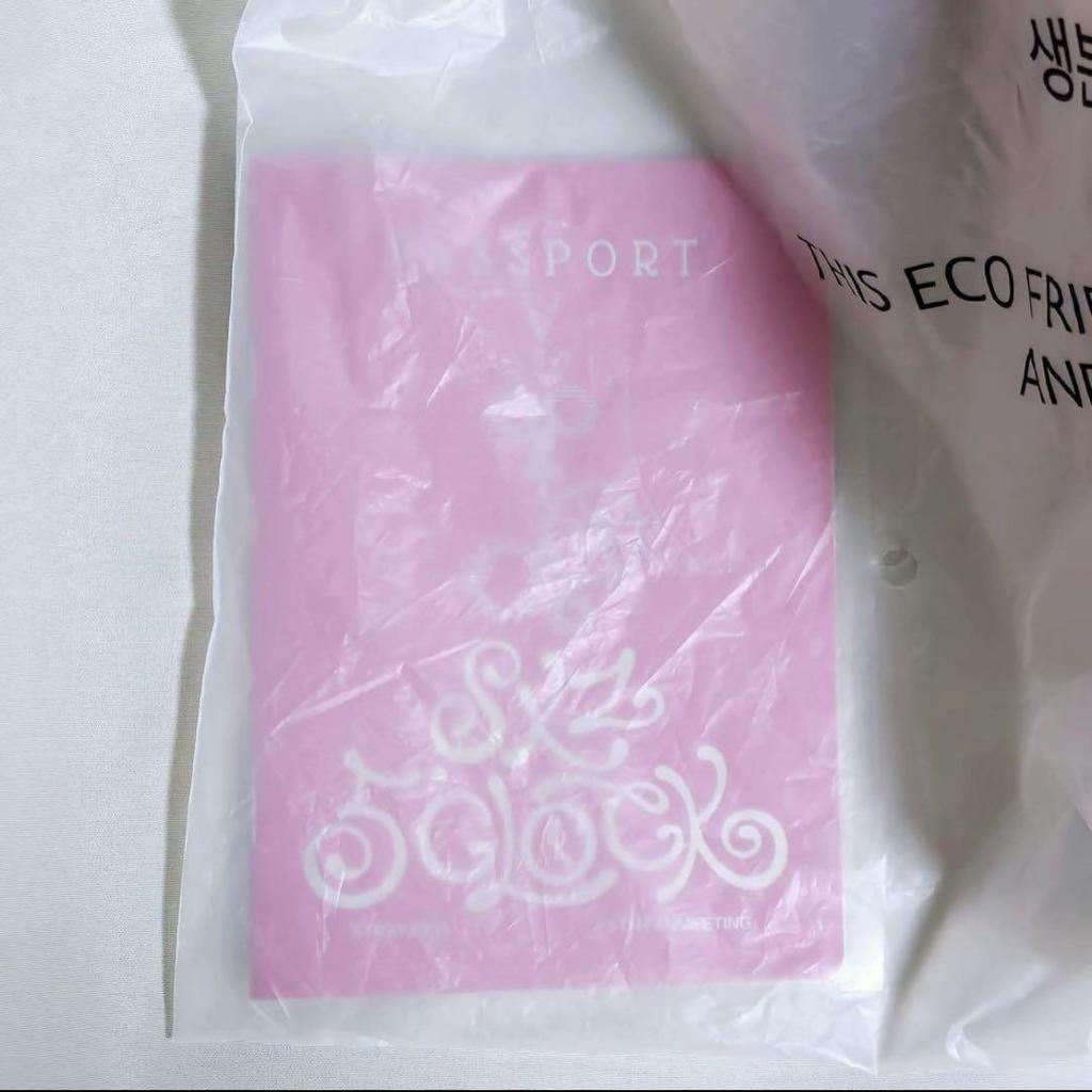 [USED] SKZ Fan Meeting Korea SKZOO Plush Teddy Bear Seungmin Puppy