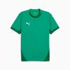 Men' Puma Teamfinal Jersey Green 70573705 R