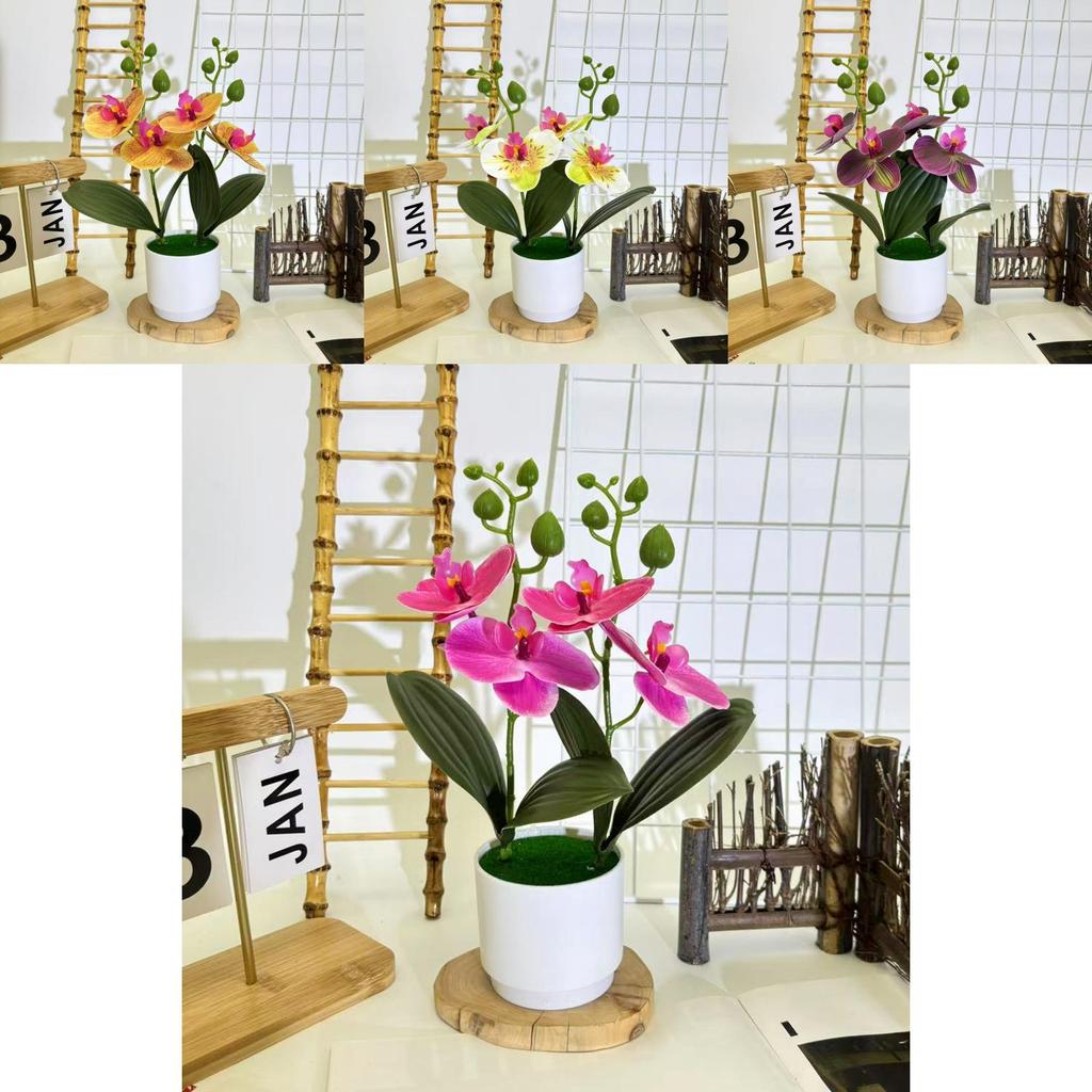Butterfly Orchid Artificial Plant With 3d Film For Indoor Decor And Photography Props