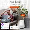 16A 100-240V Tuya ZigBee WiFi Smart Switch Module Relay Supports 2 Way Control Breaker Voice Control Work with Alexa Google Home