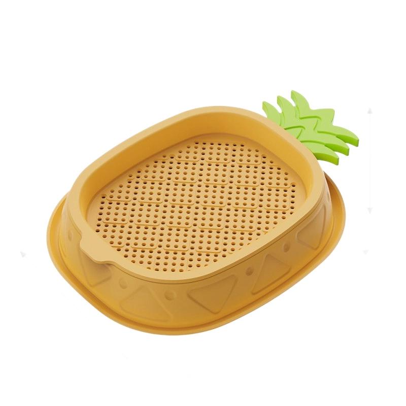 Cat Grass Hydroponic Kit: Wheatgrass Catnip Snacks for Hairball Relief