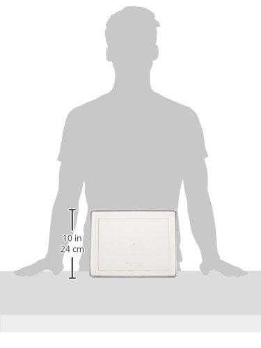 Endo Shoji Commercial-Grade Deep Tray with Lid, 29-inch, Polycarbonate Resin, Made In Japan, AHT18