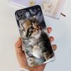 Luxury Marble Phone Case For Samsung Galaxy A12 Cover A125 SM-A125F Soft Clear Silicone Slim Bumper For Samsung M12 5G F12 Funda