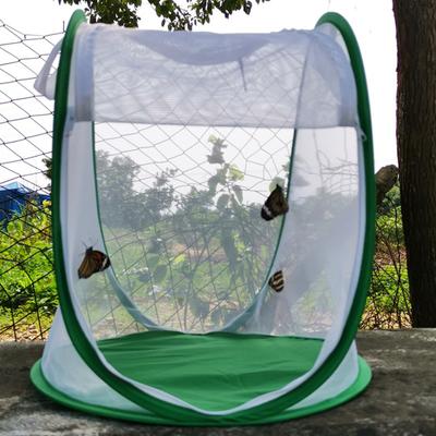 Insect Cage Foldable Easy To Carry Green Insect Mesh Cage Terrarium for Garden