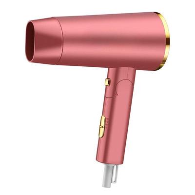 LISM High-Power Ionic Hair Dryer