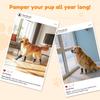 Dog Socks Outdoor Waterproof Dog Shoes Anti-Scratch Adjustable Band Knitted Socks Paw Protection Double-Sided Anti-Slip Dog Sock