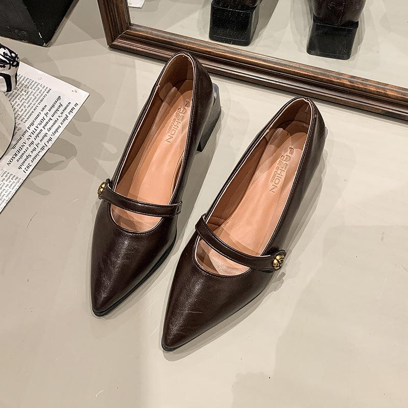 Pointed commuter shallow mouth single shoes women's spring and autumn French retro casual evening thick heel fashion Mary Jane small leather shoes