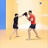 Boxe e artes marciais – Peras e sacos de boxe