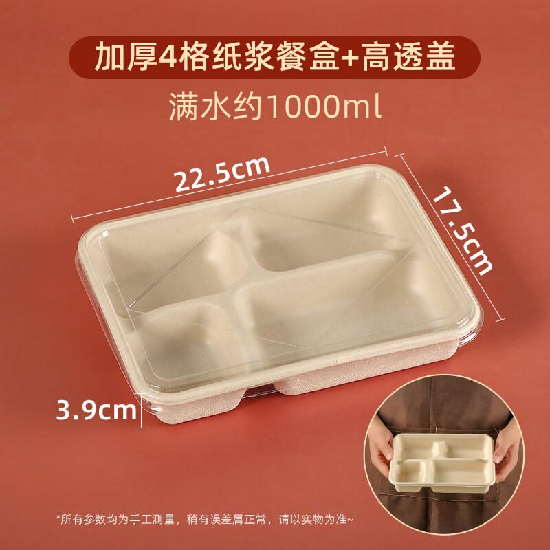 ZISIZ Biodegradable Disposable Lunch Box