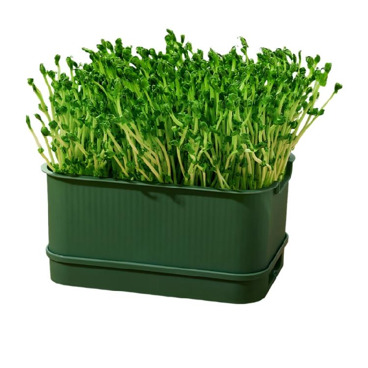 Modern Hydroponic Planter Box Bean Sprouter With Lid Cultivation Germination Tray For Bean Pea Wheatgrass Growing Plant