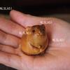 Dekoratif ürünler – Ahşap dekorasyon