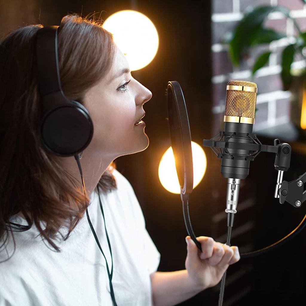 V8 Bluetooth Live Sound Card with BM-800 Microphone Compatibility for Mobile Phones