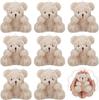 10-30 Pezzi Mini Orsetti di Peluche Piccolo Orso Giocattolo di Peluche Orsetto Peloso Minuscolo Orso Morbido Bambola di Peluche per Regali di Compleanno Gadget per Feste