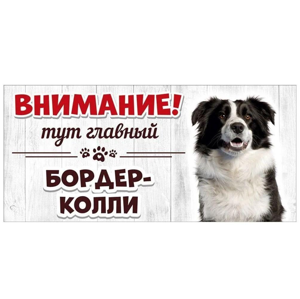 Evil Pomeranian Spitz Sign, Metal Fence Door Plaque 30x15cm