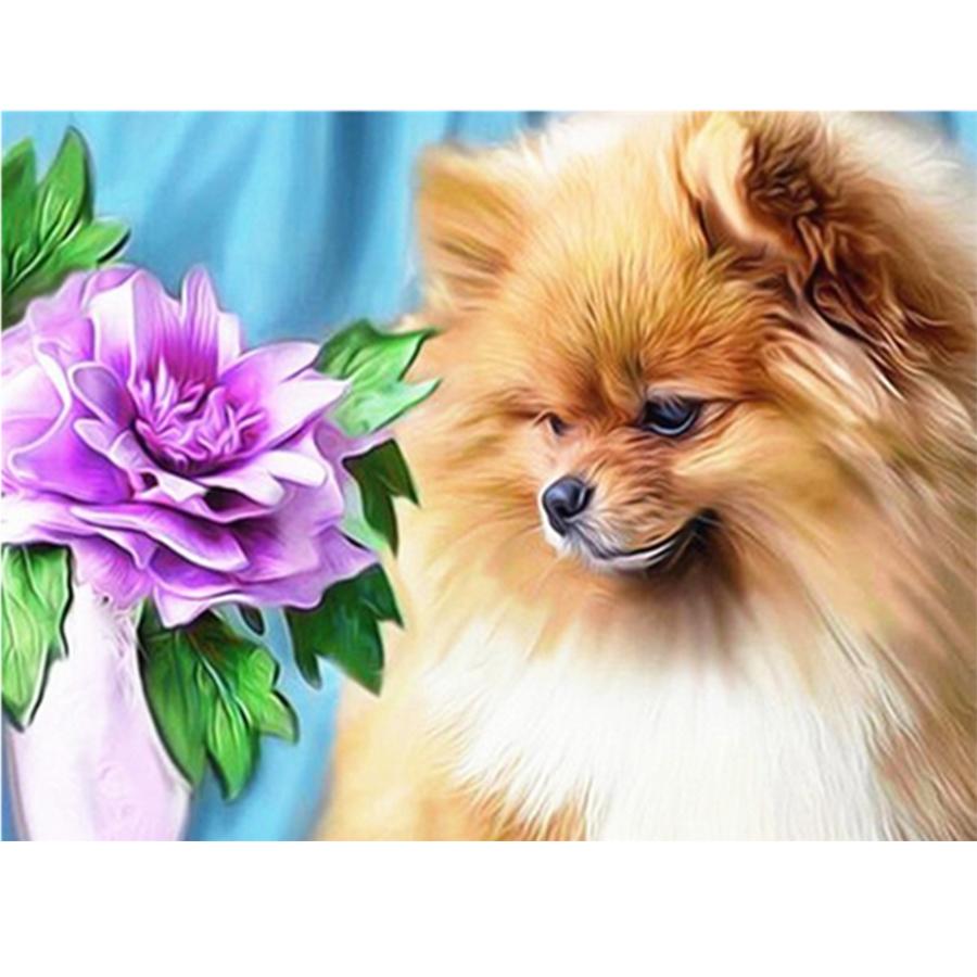 

5D DIY Набор для алмазной живописи Милая собака Фотографии Стразы Алмазная вышивка Пол Мозаика Животное Домашний декор Full Round 30x40cm