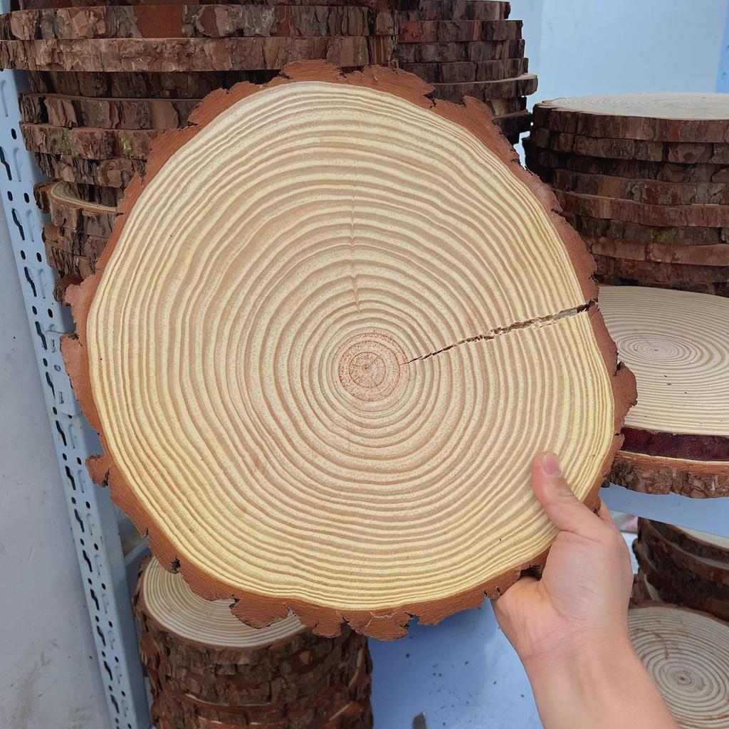 DIY Hand-Painted Wooden Slices for Crafts and Kindergarten Decor – Small Natural Wood Pieces with Growth Rings