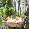 Decorative Vine Rope Cat Craft Hanging Basket Statue, Cute Sleeping Kitten Figurine, Outdoor Resin Ornament for Garden Patio Porch Decoration