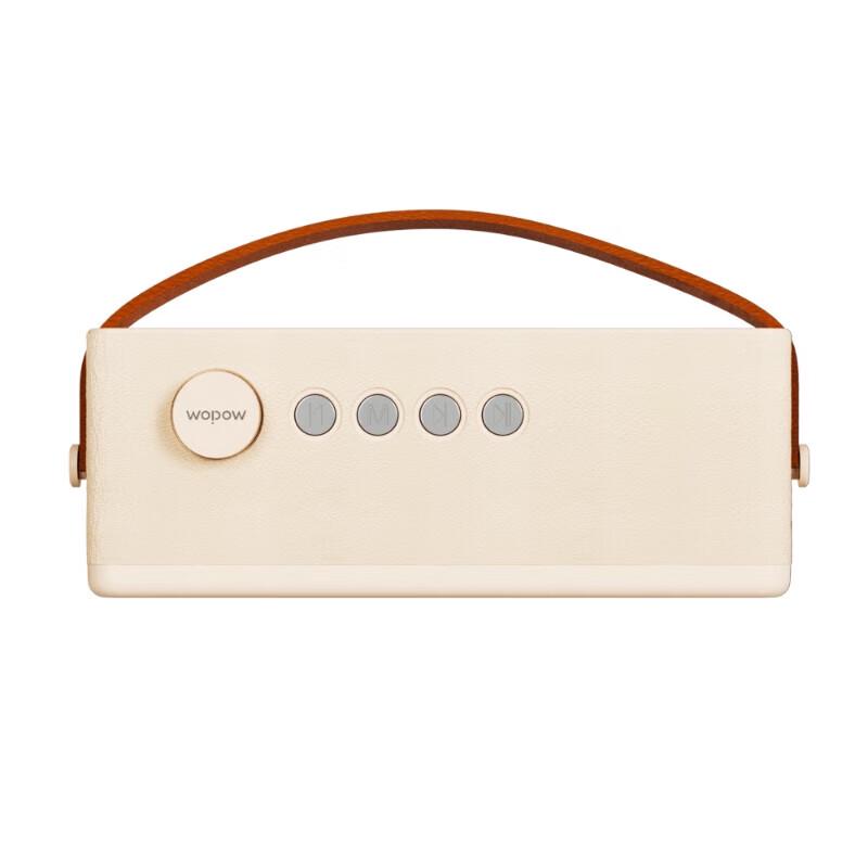 WOPOW AP09 Portable K Song Bluetooth Speaker with Dual Microphones