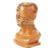 20cm Acupoint Facial Massage Model for Traditional Chinese Medicine Teaching