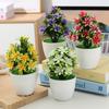 1pc Artificial Potted Plant Small Bonsai Flowers Pot Simulated Tree Ornaments Wedding Home Hotel Office Table Decor Fake Plants