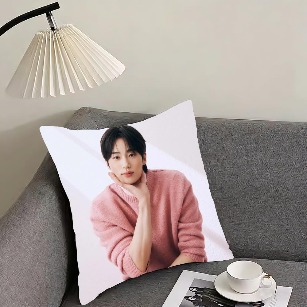 Byeon Woo-seok Cushion Cover Reversible Plush Pillow Cover – For car, sofa, bedroom, perfect as a gift.