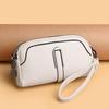 New Fashionable and Minimalist Style Women's Bag, Crossbody Bag with Pleated Texture, Niche Commuting Mommy Bag