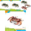 Marine Life Crab Replica With Static Display For Home Or Office Use