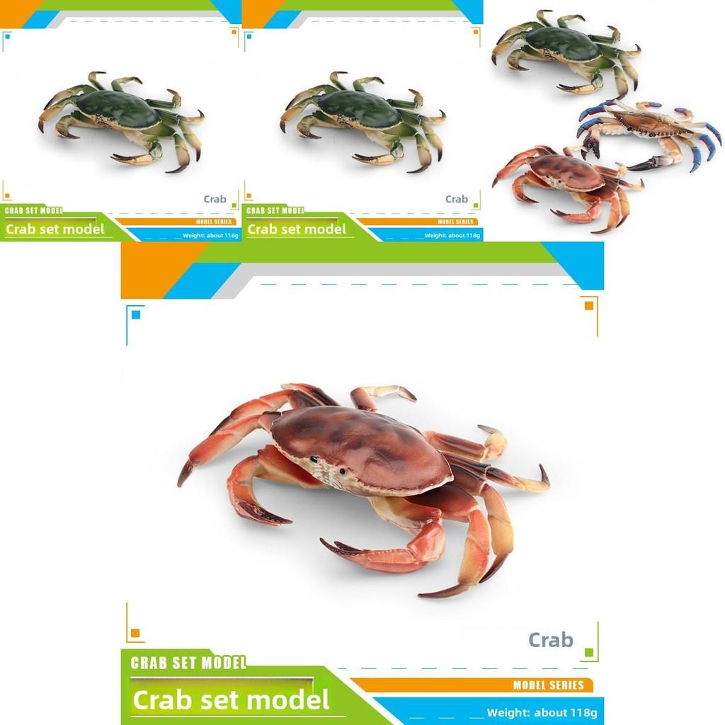 Marine Life Crab Replica With Static Display For Home Or Office Use
