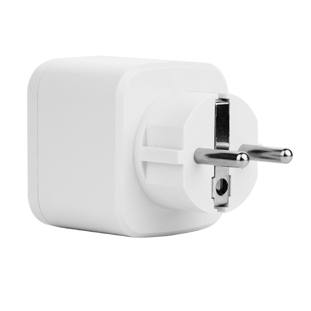 16A European Standard WiFi Smart Socket with Voice Control & Alexa Integration